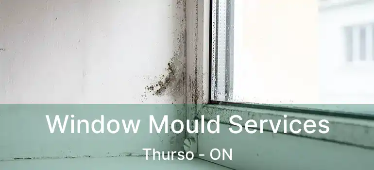  Window Mould Services Thurso - ON