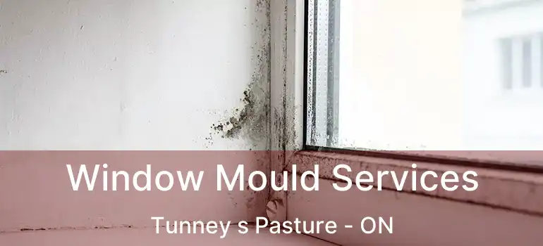  Window Mould Services Tunney s Pasture - ON