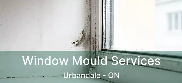  Window Mould Services Urbandale - ON