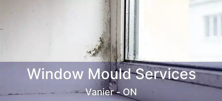  Window Mould Services Vanier - ON