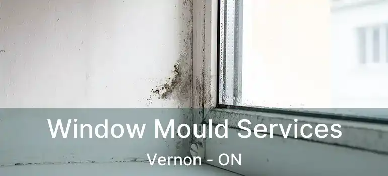  Window Mould Services Vernon - ON