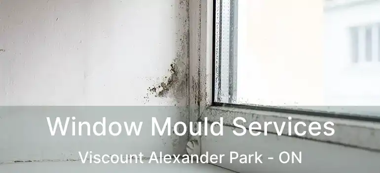  Window Mould Services Viscount Alexander Park - ON