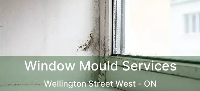  Window Mould Services Wellington Street West - ON