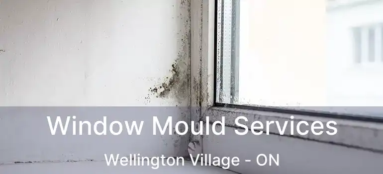  Window Mould Services Wellington Village - ON