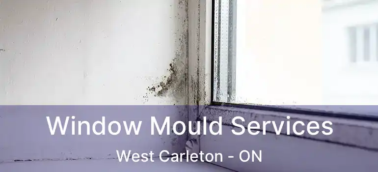  Window Mould Services West Carleton - ON