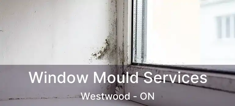  Window Mould Services Westwood - ON