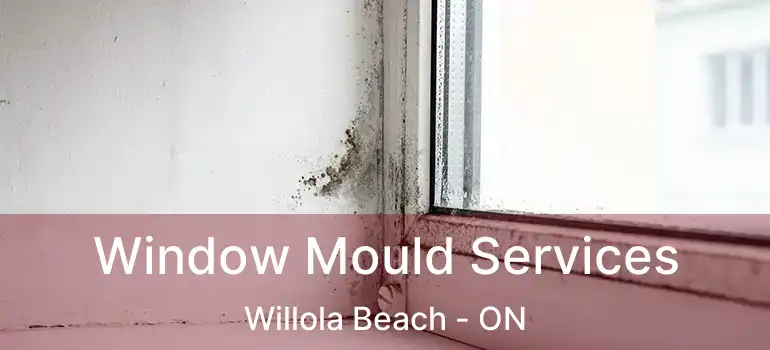  Window Mould Services Willola Beach - ON