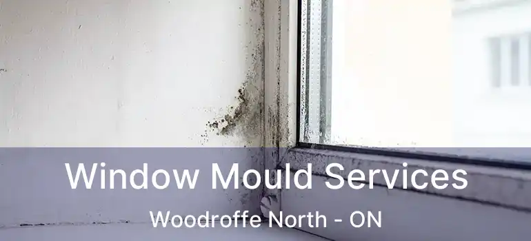  Window Mould Services Woodroffe North - ON