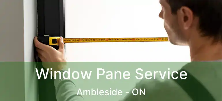  Window Pane Service Ambleside - ON