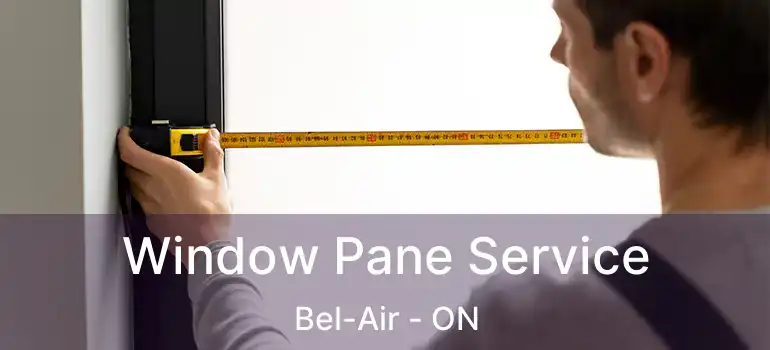  Window Pane Service Bel-Air - ON