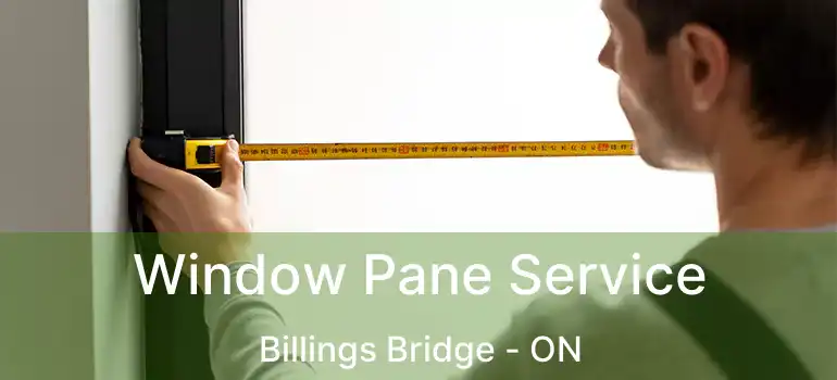  Window Pane Service Billings Bridge - ON