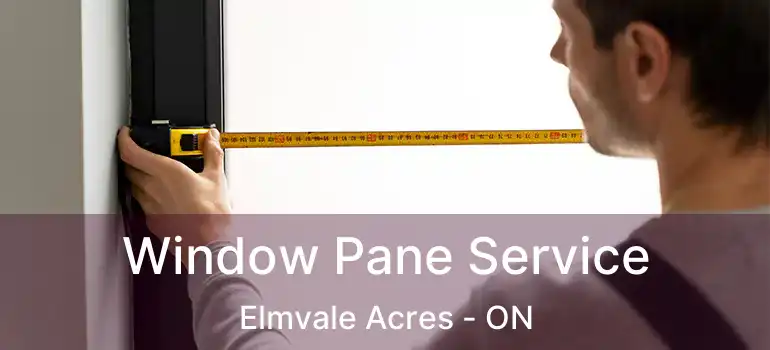  Window Pane Service Elmvale Acres - ON