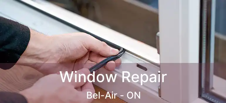  Window Repair Bel-Air - ON