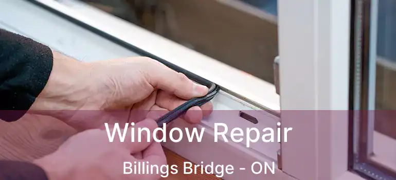  Window Repair Billings Bridge - ON