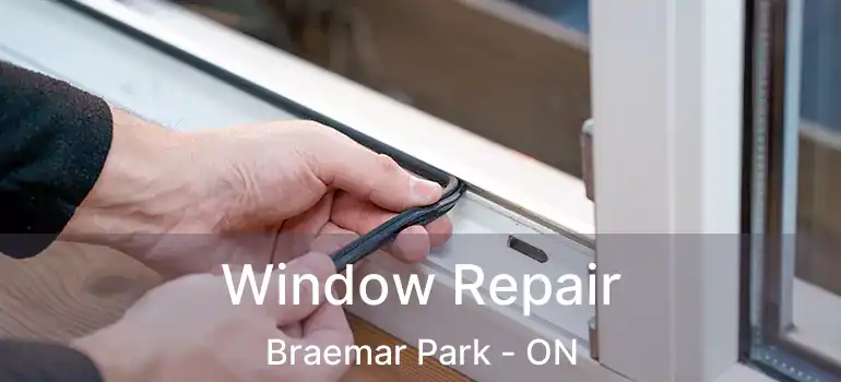  Window Repair Braemar Park - ON