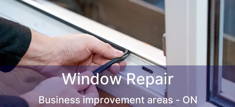  Window Repair Business improvement areas - ON