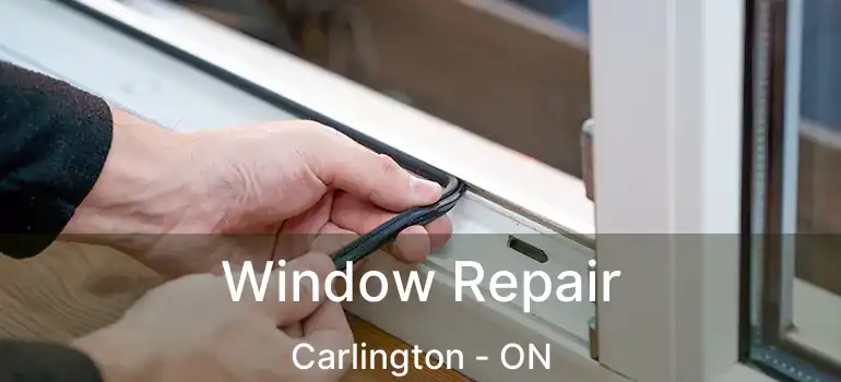  Window Repair Carlington - ON