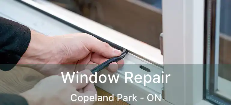  Window Repair Copeland Park - ON