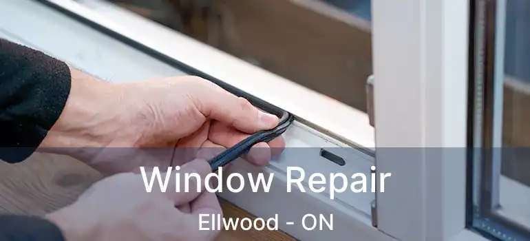  Window Repair Ellwood - ON