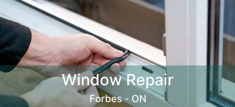  Window Repair Forbes - ON