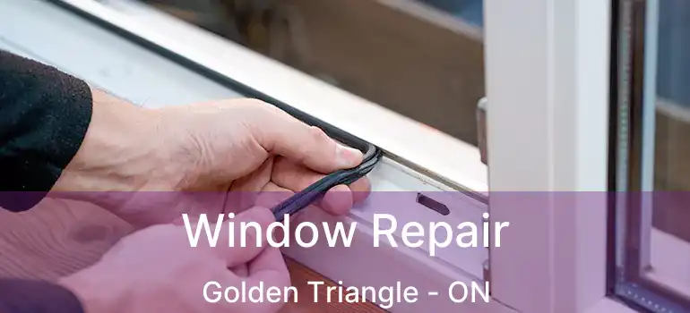  Window Repair Golden Triangle - ON