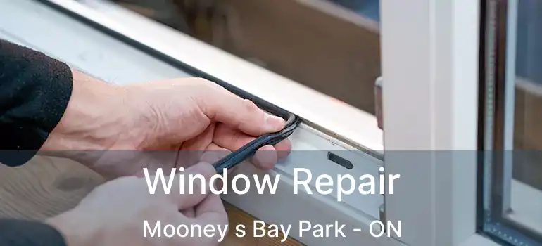  Window Repair Mooney s Bay Park - ON