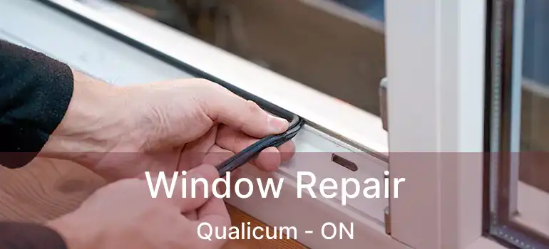  Window Repair Qualicum - ON