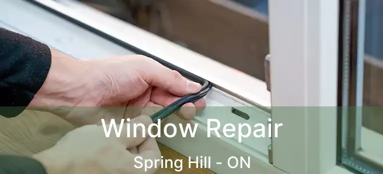  Window Repair Spring Hill - ON