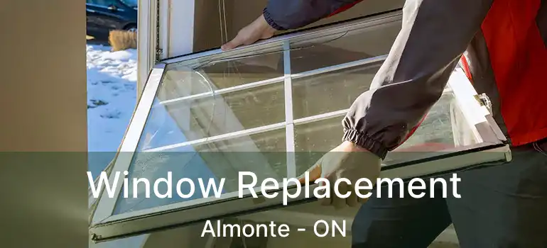  Window Replacement Almonte - ON