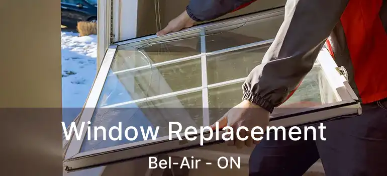  Window Replacement Bel-Air - ON