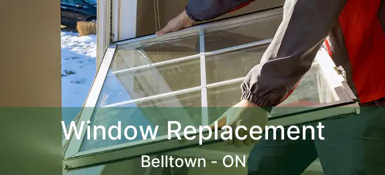  Window Replacement Belltown - ON