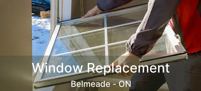  Window Replacement Belmeade - ON