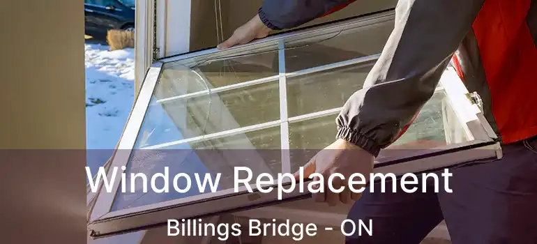  Window Replacement Billings Bridge - ON