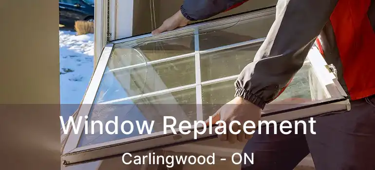  Window Replacement Carlingwood - ON