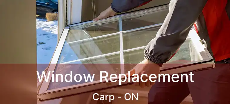  Window Replacement Carp - ON