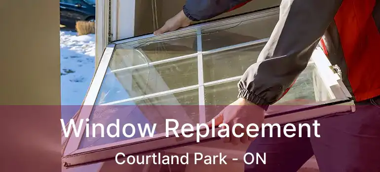  Window Replacement Courtland Park - ON