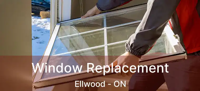  Window Replacement Ellwood - ON