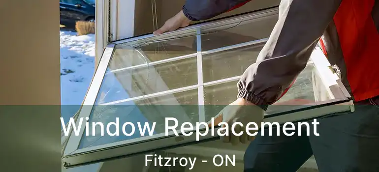  Window Replacement Fitzroy - ON