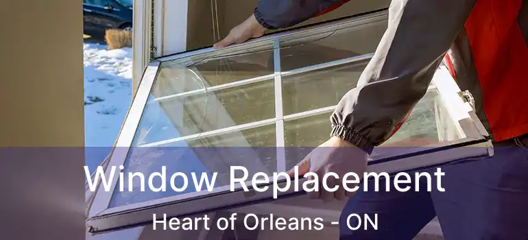  Window Replacement Heart of Orleans - ON