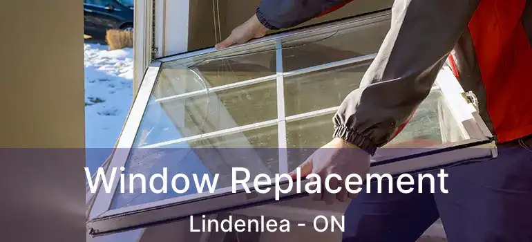  Window Replacement Lindenlea - ON