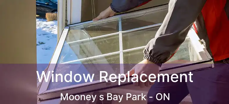  Window Replacement Mooney s Bay Park - ON