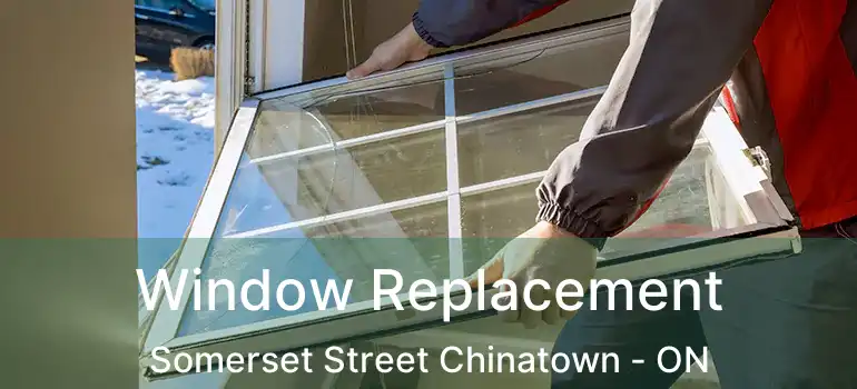  Window Replacement Somerset Street Chinatown - ON