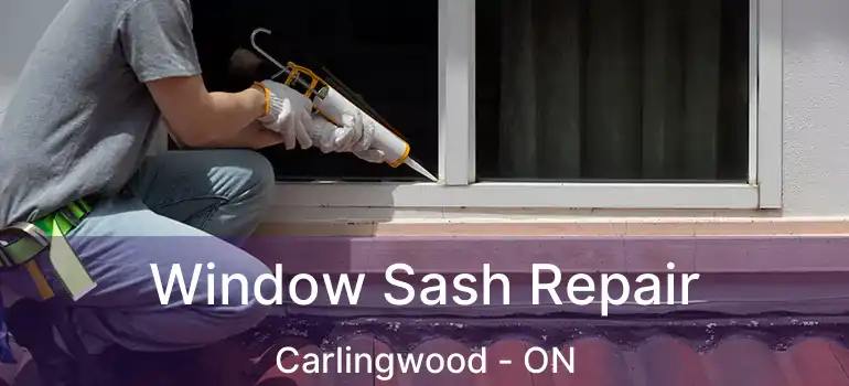  Window Sash Repair Carlingwood - ON