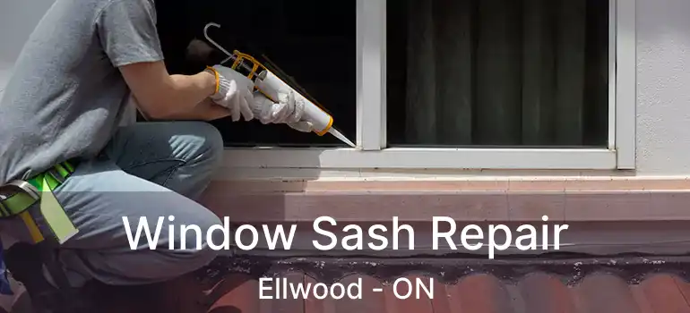  Window Sash Repair Ellwood - ON