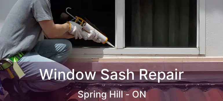  Window Sash Repair Spring Hill - ON