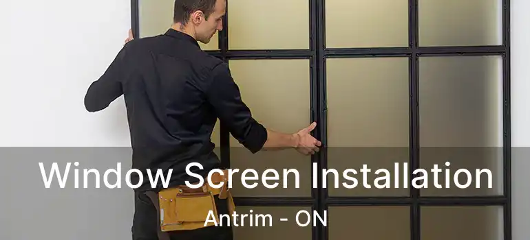  Window Screen Installation Antrim - ON