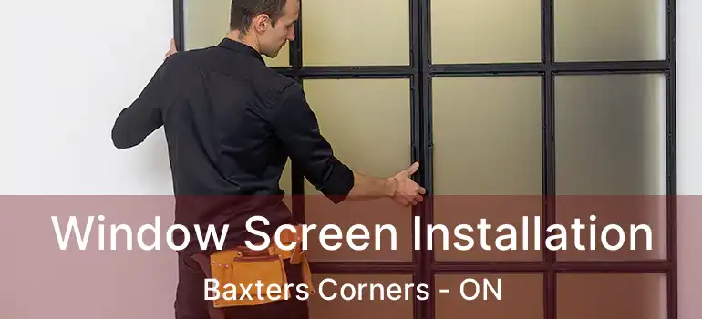  Window Screen Installation Baxters Corners - ON