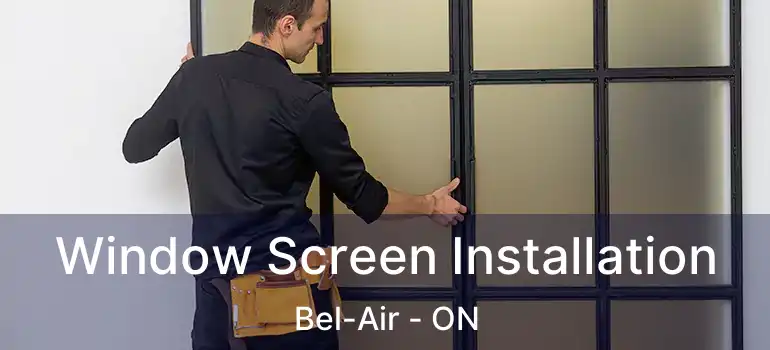  Window Screen Installation Bel-Air - ON