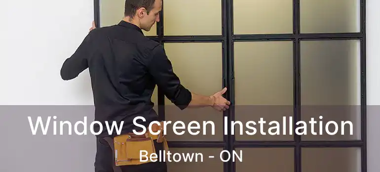  Window Screen Installation Belltown - ON