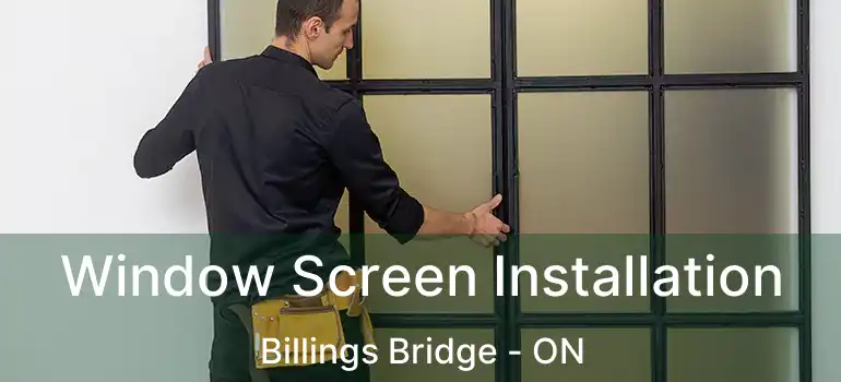  Window Screen Installation Billings Bridge - ON